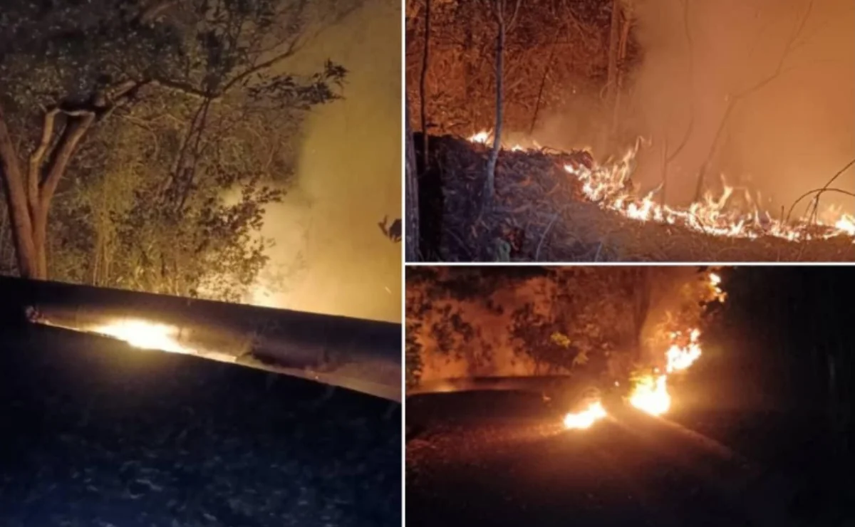Firefighters battle 2.43-hectare bushfire in Salak Tinggi, operation ongoing