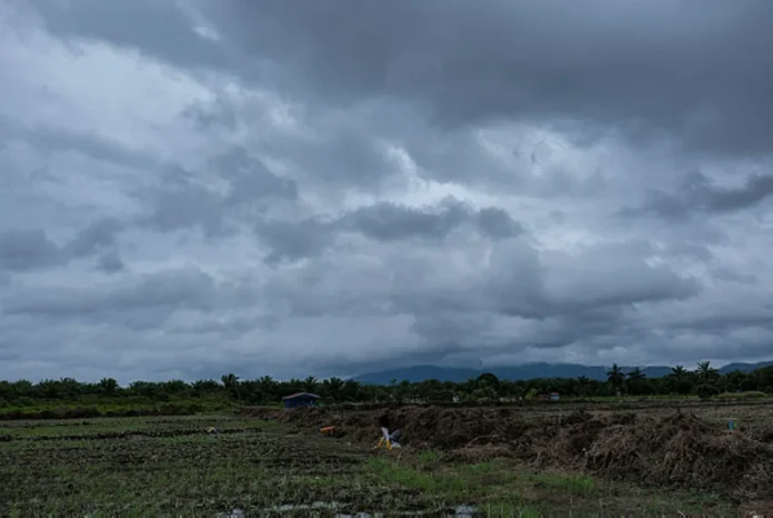 Ribut Senyar sebabkan 49 kes pokok tumbang, satu kematian