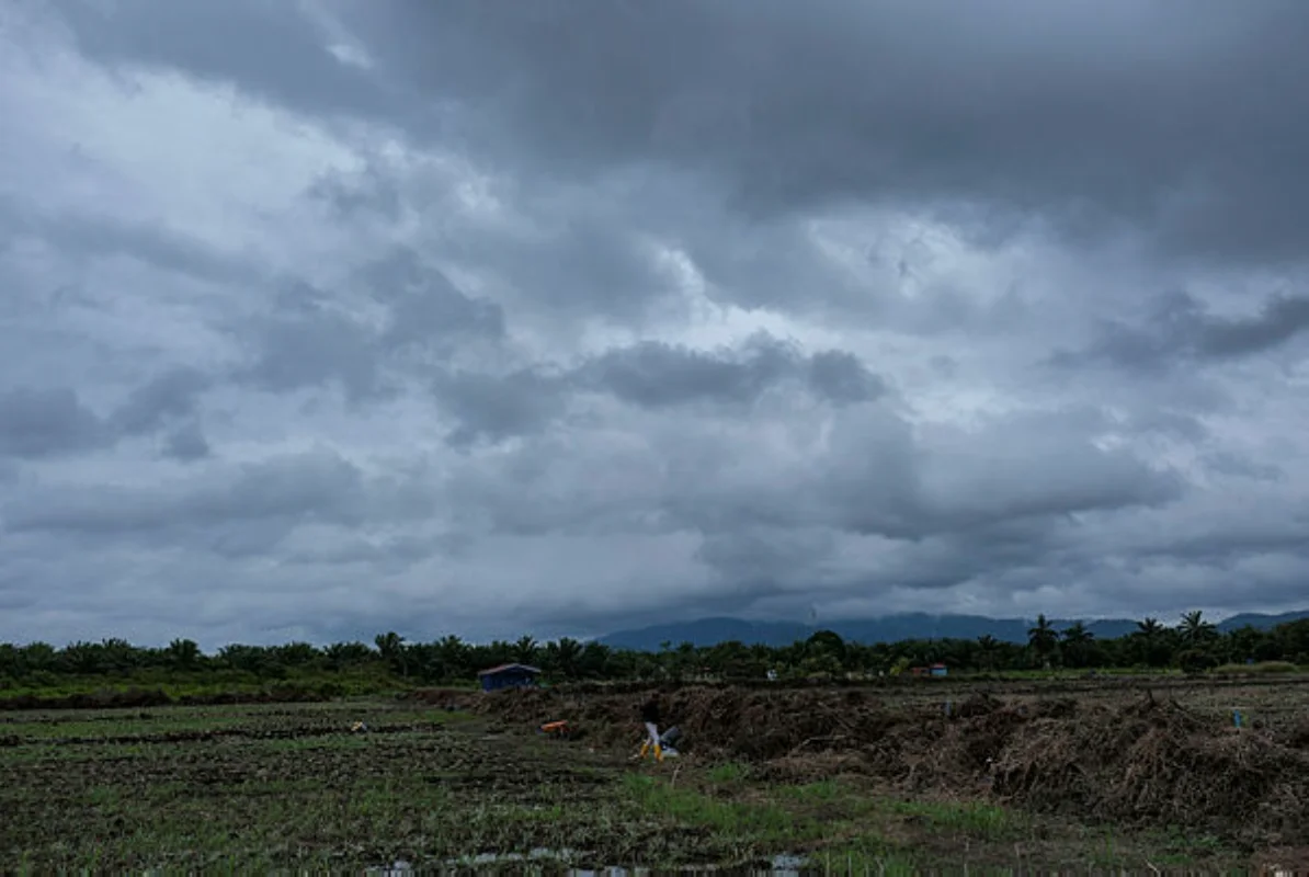 Ribut Senyar sebabkan 49 kes pokok tumbang, satu kematian Ribut Senyar sebabkan 49 kes pokok tumbang, satu kematian