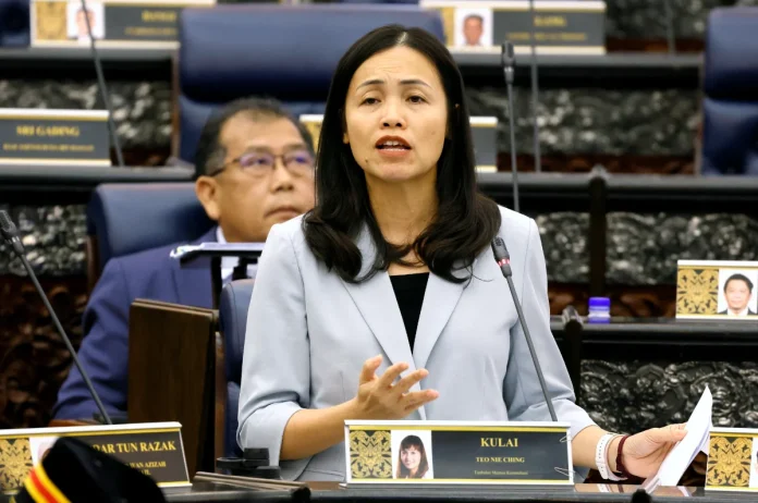 Kerajaan tidak tekan media walaupun berbeza pandangan - Teo Nie Ching