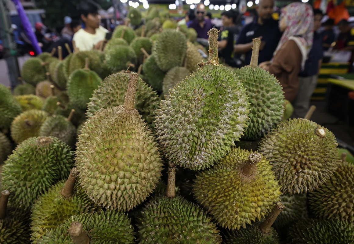 Durian oversupply caused by export-grade clones, not weak demand Durian oversupply caused by export-grade clones, not weak demand