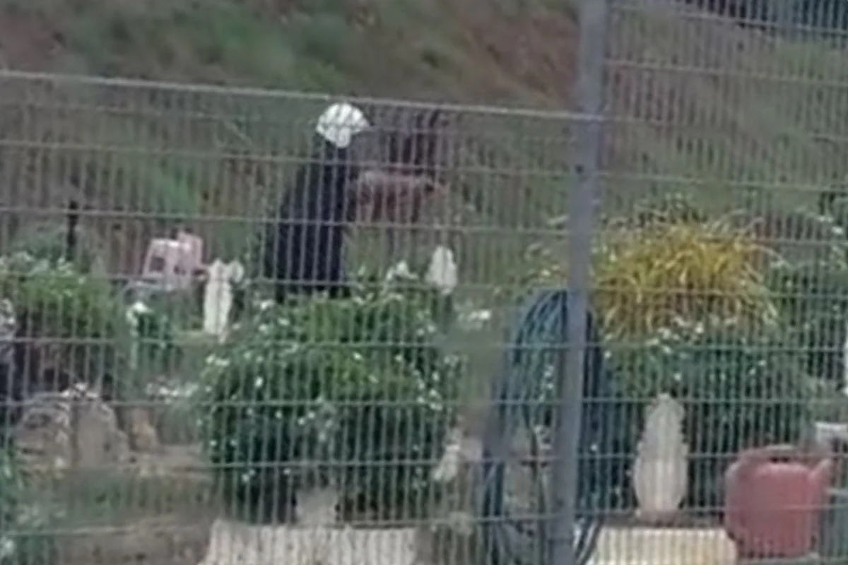 Minister_calls_for_comprehensive_probe_into_viral_silat_cemetery_video
