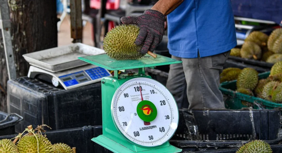 Durian prices crash as Malaysia faces bumper harvest