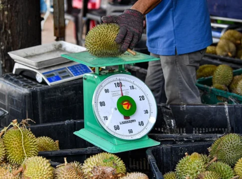 Durian prices crash as Malaysia faces bumper harvest