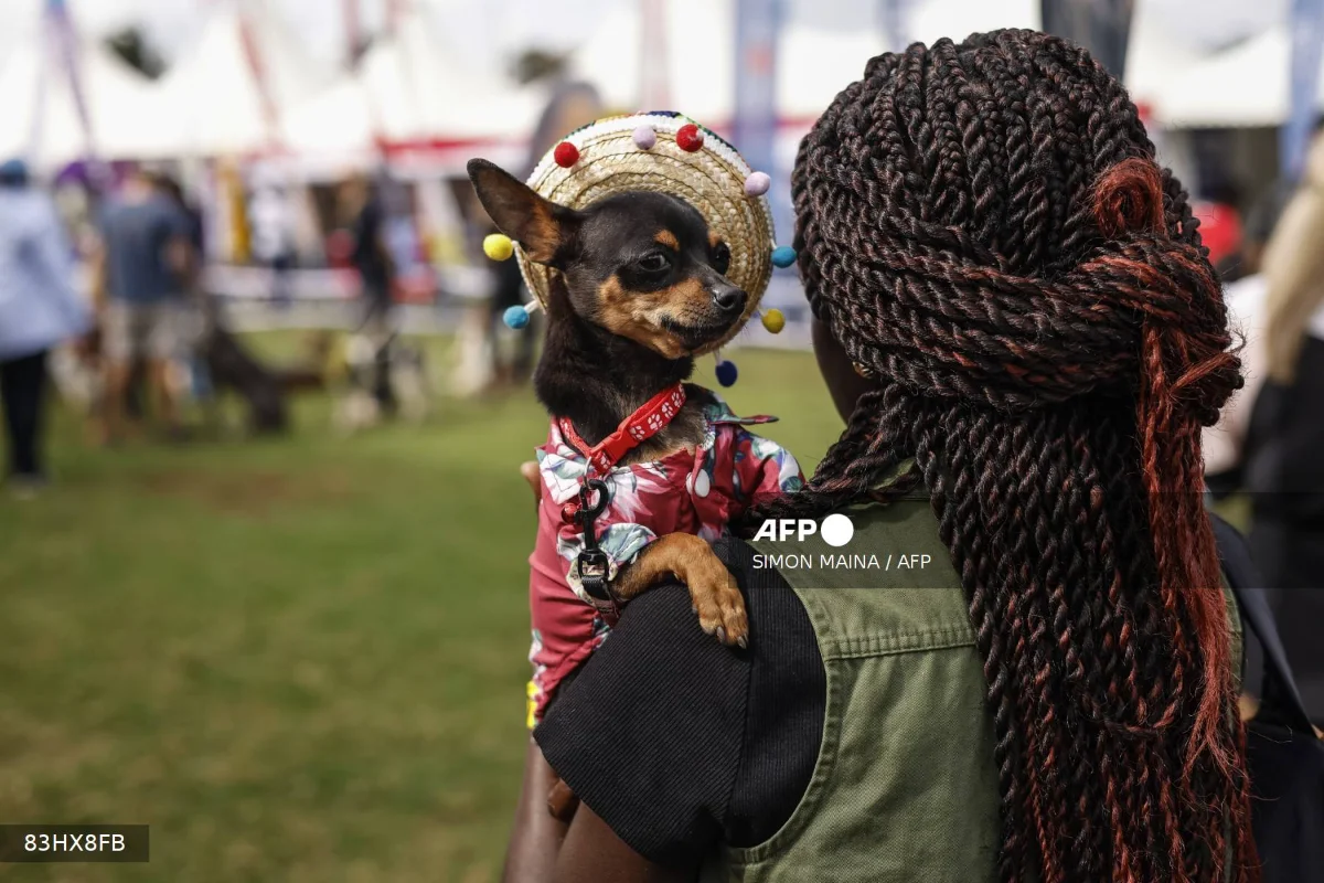 Nairobi_s_rescued_dogs_shine_at_annual_Pawchella_dog_show