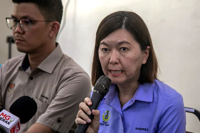 Perak launches microchipping and mapping system for stray animals Perak launches microchipping and mapping system for stray animals