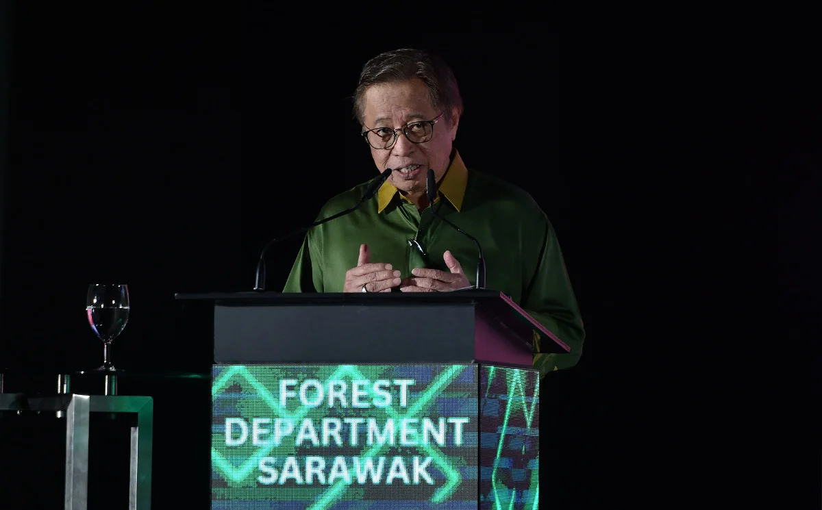Sarawak_galak_kontraktor_guna_kayu_sintetik_untuk_pembinaan_lestari Sarawak galak kontraktor guna kayu sintetik untuk pembinaan lestari