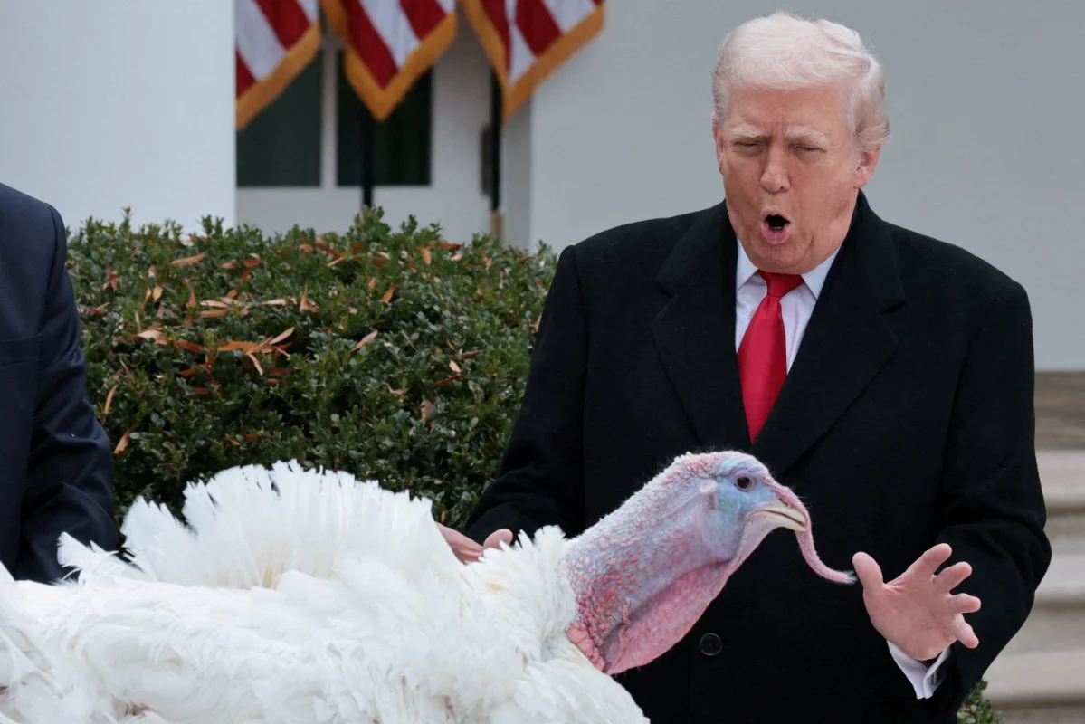 Trump_pardons_Thanksgiving_turkeys_Gobble_and_Waddle_in_White_House_tradition WASHINGTON: President Donald Trump continued the annual Thanksgiving tradition by pardoning two turkeys named Gobble and Waddle at the White House Rose Garden ceremony. The giant white-plumed birds each weighed over 50 pounds and were raised on a North Carolina farm. Trump joked that he initially considered naming the turkeys Chuck and Nancy after his political opponents Chuck Schumer and Nancy Pelosi.