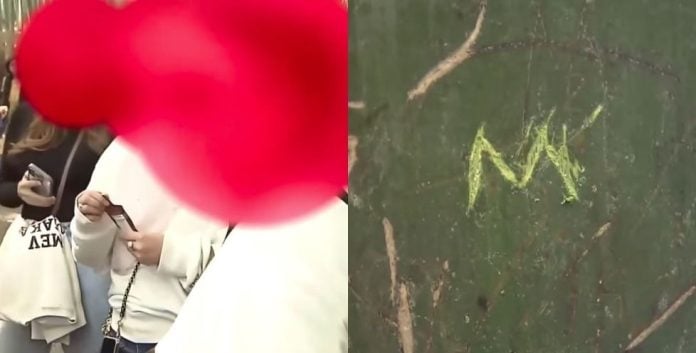 Malaysians caught vandalising Kyoto bamboo forest, claim ignorance of rules