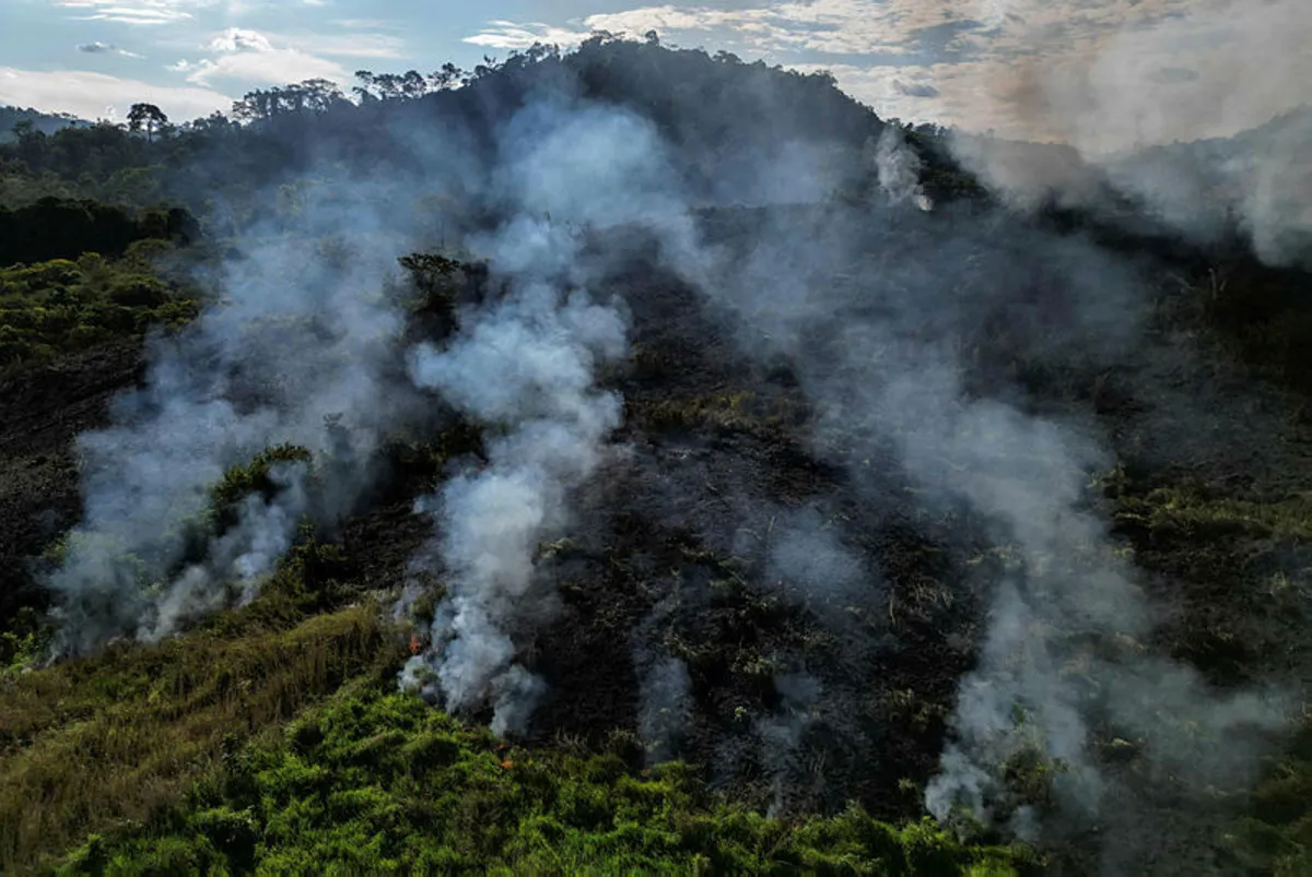 Who is setting fire to the Amazon_ Who is setting fire to the Amazon?