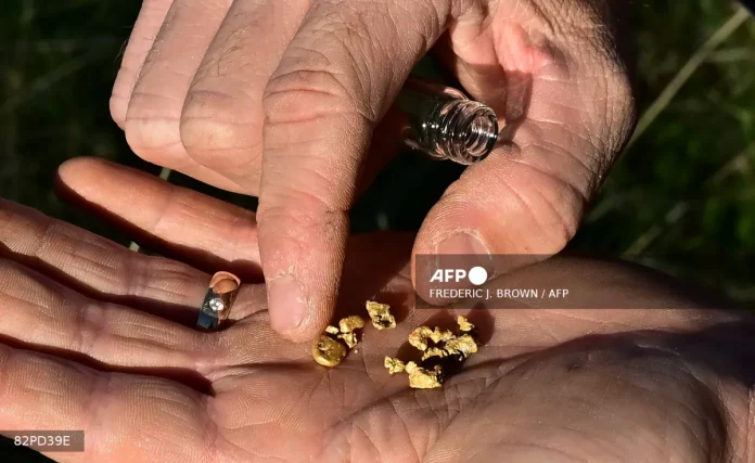 Cody Blanchard of Heritage Gold Rush displays some gold he found in the area from using his metal detector to detect gold on October 27, 2025 in El Dorado County, north of Sacramento, California. Blanchard is hoping his Heritage Gold Rush can serve the niche market -- and help him turn a hobby into a thriving business. The store offers everything from basic tools to pan for gold in the river, such as pickaxes and scoops, to pinpointers and high-tech metal detectors that can cost thousands of dollars. The 35-year-old sanitation worker -- who organizes paid gold-digging tours -- says he had tripled his yearly average find from one ounce a year to three using the gadgets.