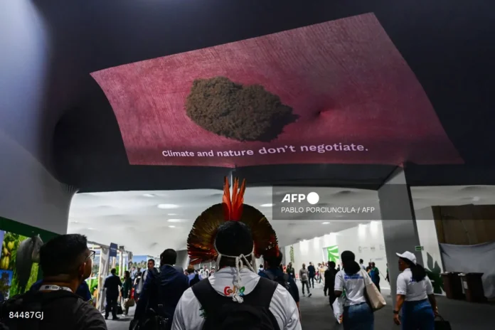 World 'will suffer' without fossil fuels: Russia's COP30 negotiator