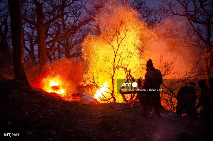 iranenvironmentfire Iran seeks help with fire threatening UNESCO-listed forests