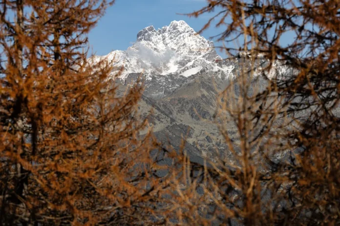 Five German mountaineers killed in Italian Alps avalanche