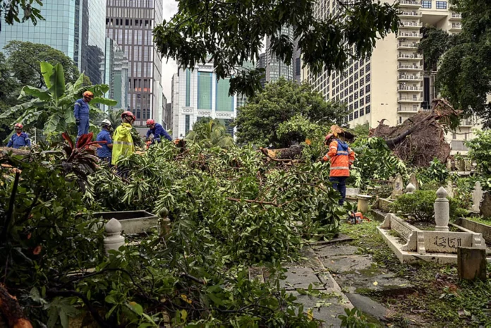 Tujuh kejadian tanah runtuh dan pokok tumbang dilaporkan di KL
