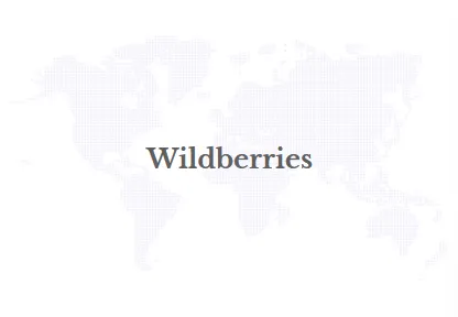 Wildberries Pilots Drone Delivery for Online Orders