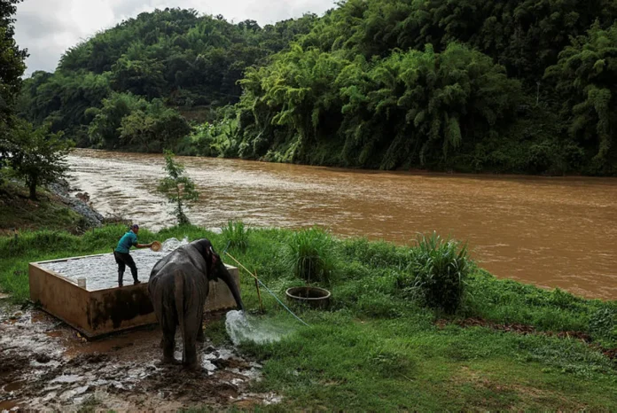 Toxic mines put Southeast Asia's rivers, people at risk, study says