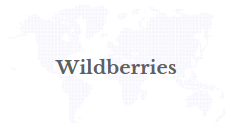 Wildberries Announces Partnership with Ethiopian Investment Holdings