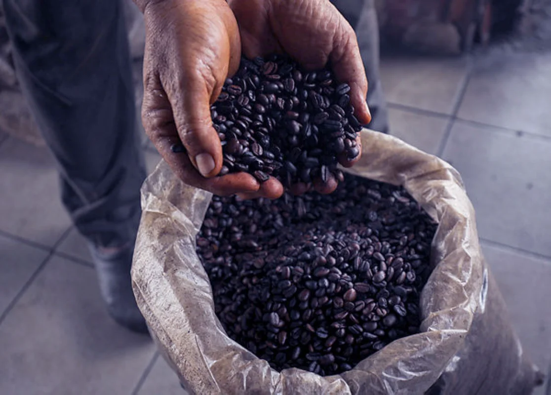Malaysia tingkatkan industri kopi tempatan, import masih tinggi Malaysia tingkatkan industri kopi tempatan, import masih tinggi