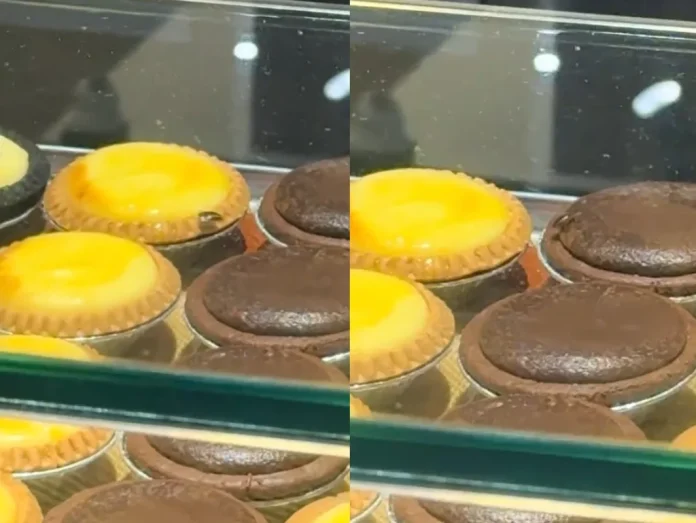 Cockroach_spotted_crawling_on_cheese_tarts_in_KL_mall_shop Cockroach spotted crawling on cheese tarts in KL mall shop