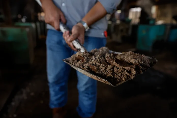 FGV resumes operations as Terengganu extends land dispute deadline