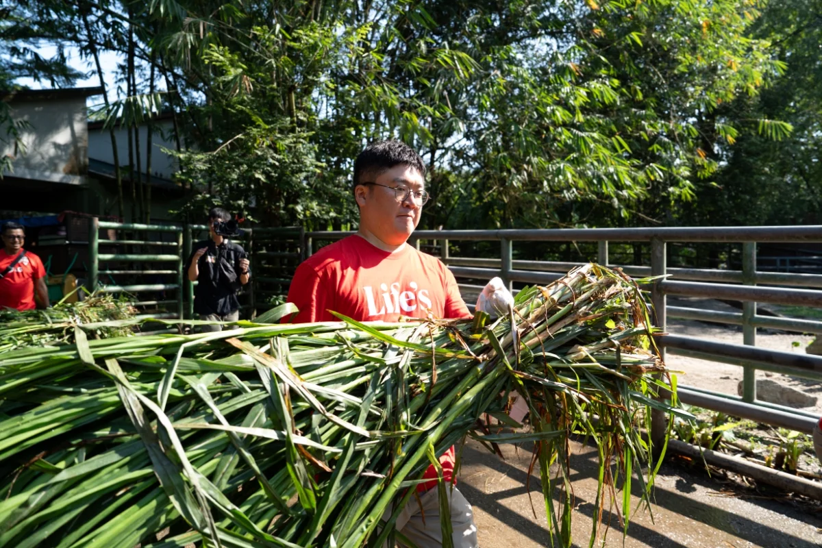 Lg malaysia enhances zoo negara with smart tech gift