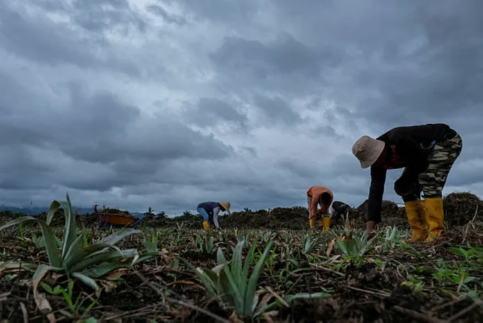 Thunderstorm and heavy rain warning issued for Melaka and Johor