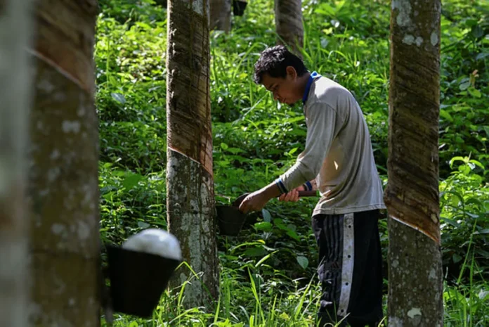 CMA rubber asphalt technology could boost local industry, says deputy minister CMA rubber asphalt technology could boost local industry, says deputy minister