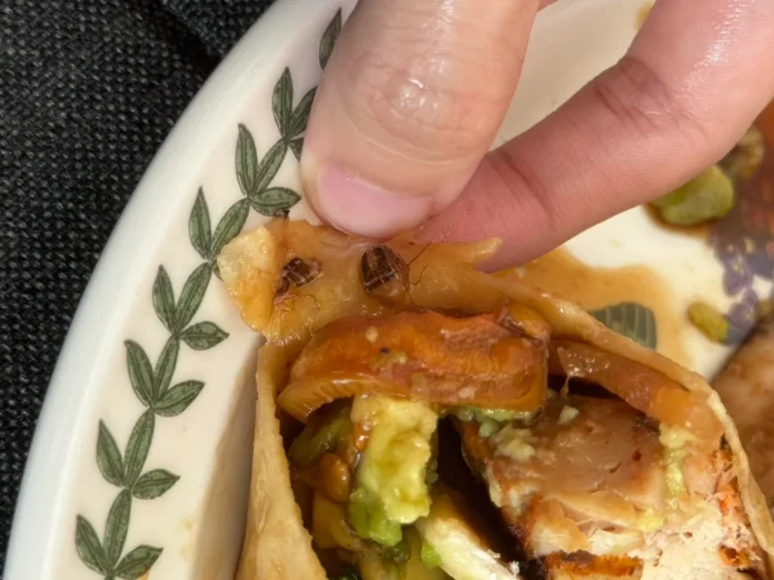 Malaysian_woman_horrified_after_finding_two_roaches_in_her_wrap_from_KL_restaurant Malaysian woman horrified after finding two roaches in her wrap from KL restaurant