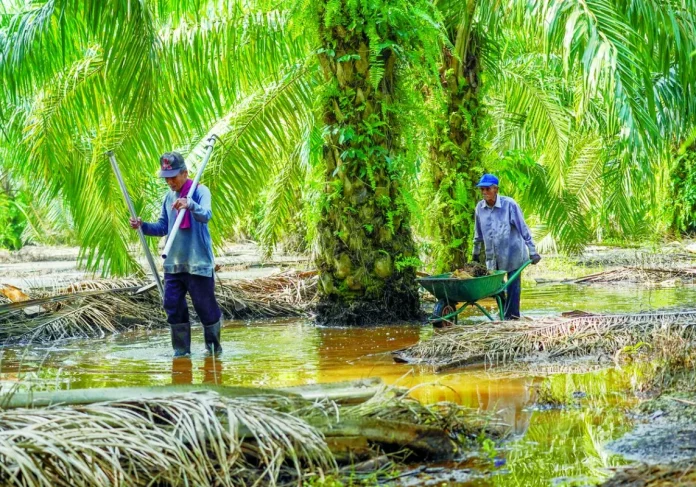 _Reusing_estates_for_data_centres_needs_monitoring_