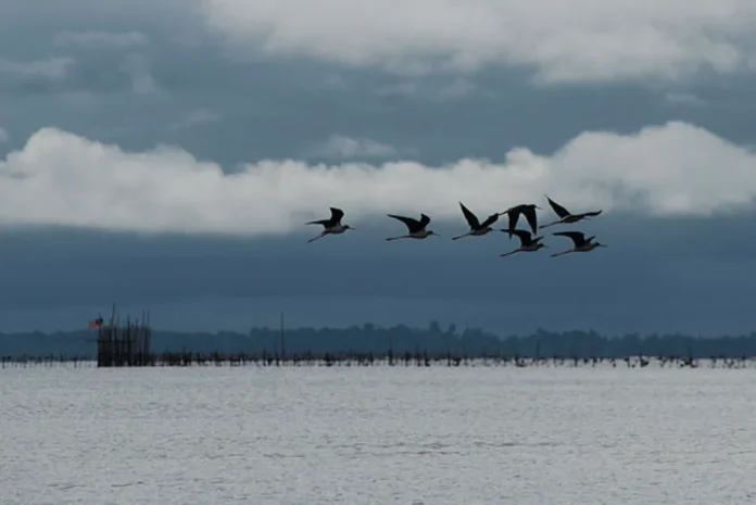 Thunderstorm_warning_for_Selangor__Negeri_Sembilan__Sabah_and_KL_until_noon Thunderstorm warning for Selangor, Negeri Sembilan, Sabah and KL until noon