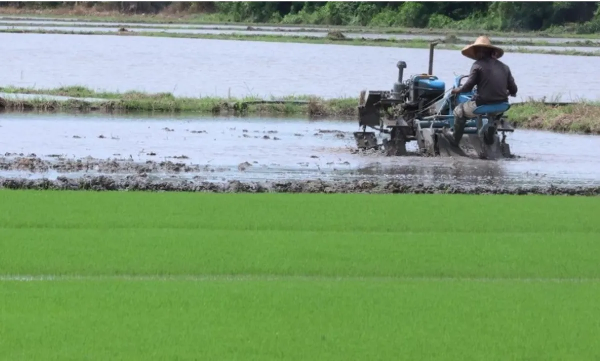 agriculture Agricultural sector generated income of RM186.4 billion in 2023