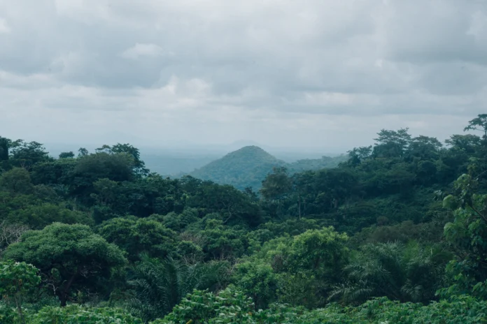 beautiful-scenery-green-tree-forest-cloudy-sky A lush Malaysian forest landscape similar to the environments youth leaders are fighting to protect as they push for stronger climate awareness and community action.