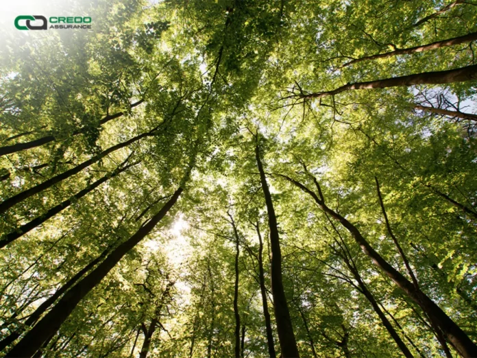 credo Credo Assurance Earns ESG Certification to Support Sustainability Reporting