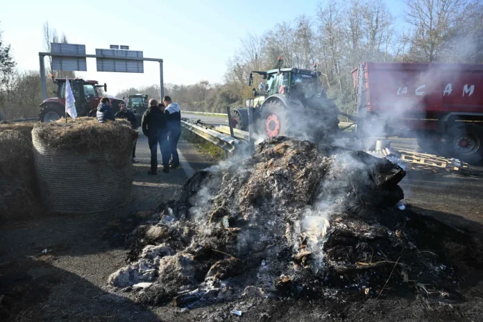 france-agriculture-cattle-virus-protest-155406 Cow culling protest France