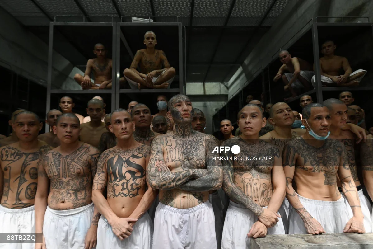 ms-13_-_afp