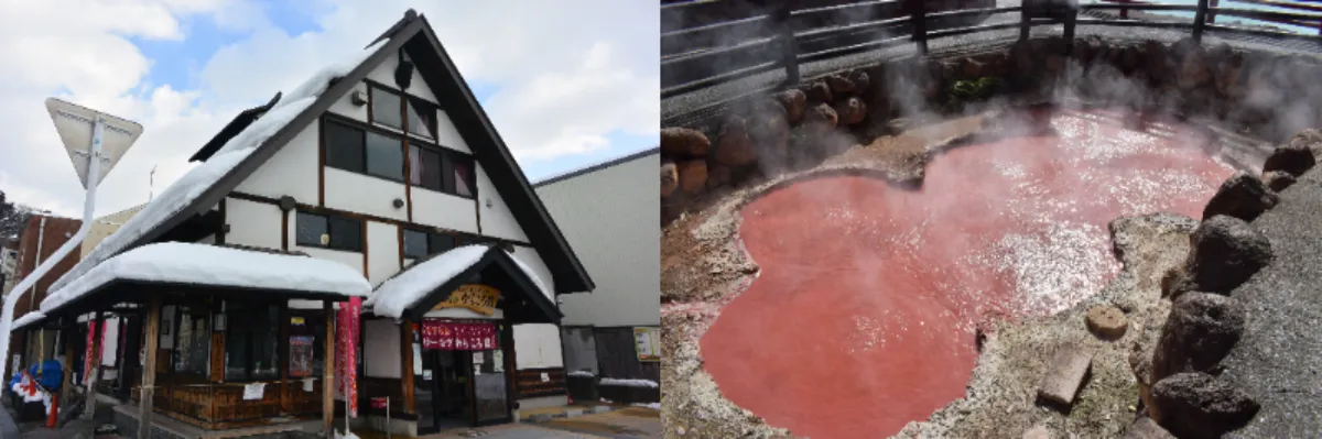 Travel with the jr east pass (tohoku area)