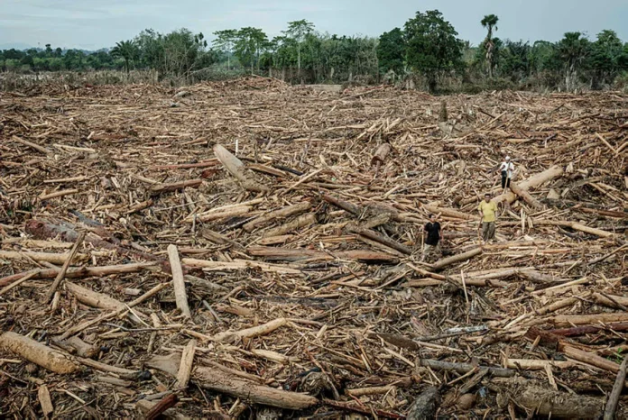 topshots-topshot-indonesia-flood-020036-t693f5dba-m800-xcbf59c0c Indonesia to revoke 22 forestry permits after deadly floods