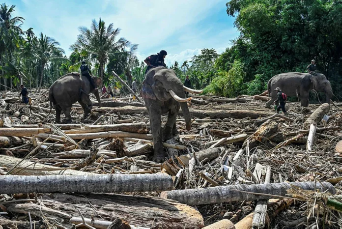 Indonesia suffers food, medical shortages as Asia flood tolls rise