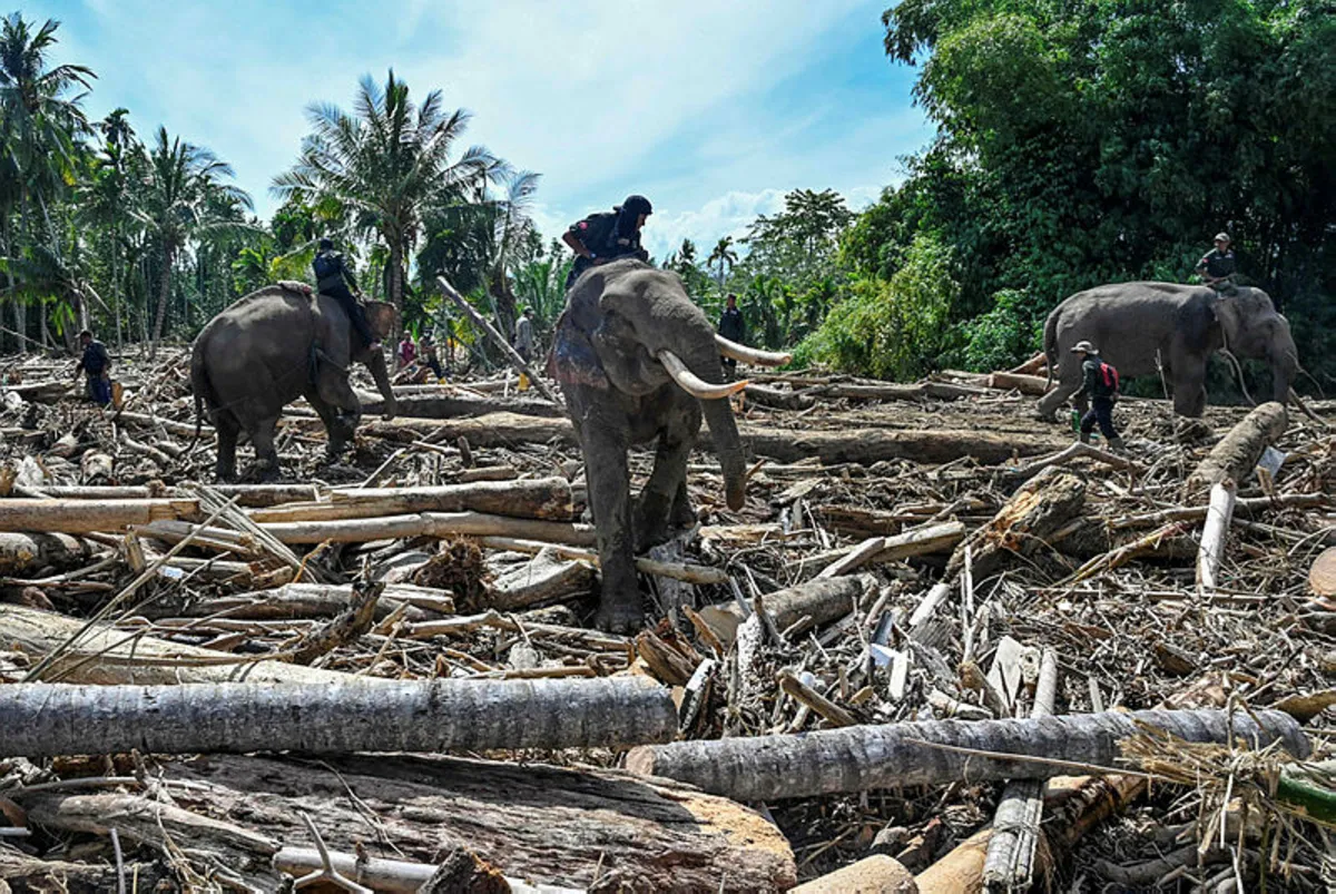 Indonesia suffers food, medical shortages as Asia flood tolls rise