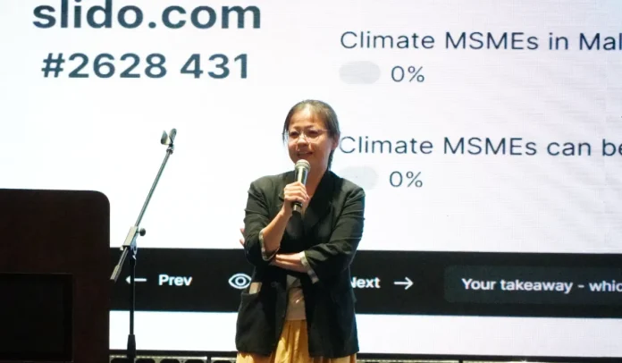 Malaysian climate-focused MSMEs struggle to get financing despite strong growth potential: UNDP analyst