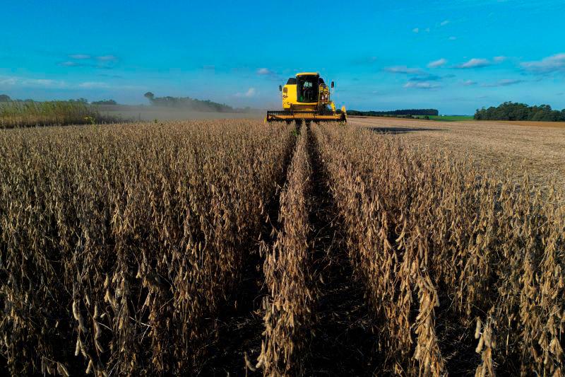 'Anxious': US farmers see tariffs threaten earnings 'Anxious': US farmers see tariffs threaten earnings