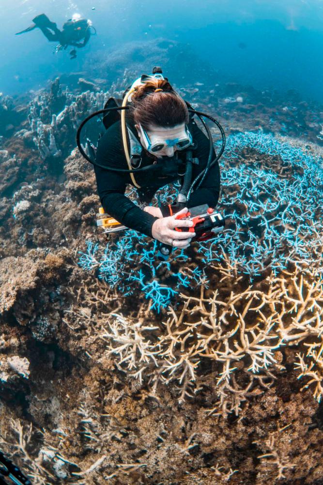 'Unprecedented' mass bleaching drains life from Australian reef