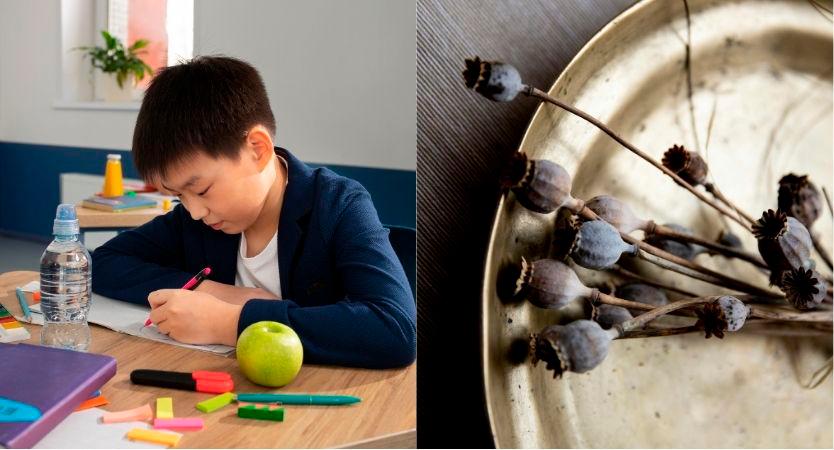10-year-old Taiwanese scolded for unfinished homework tells on father hiding poppy husks 10-year-old Taiwanese scolded for unfinished homework tells on father hiding poppy husks