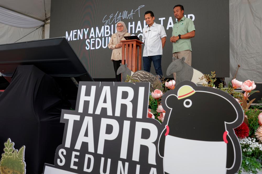 112 Malayan tapirs killed in road accidents from 2020 to 2024 - Nik Nazmi 112 Malayan tapirs killed in road accidents from 2020 to 2024 - Nik Nazmi