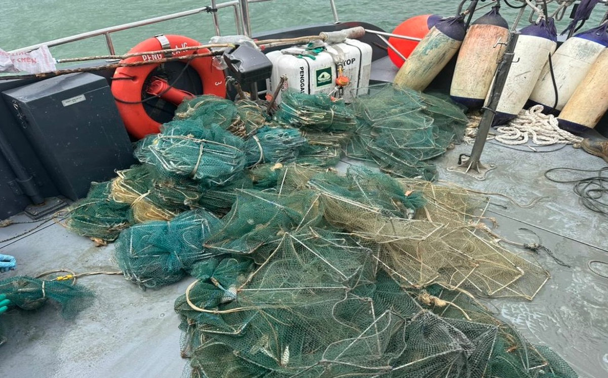 1,742 illegal ‘bubu naga’ traps seized last year under Op Sayong