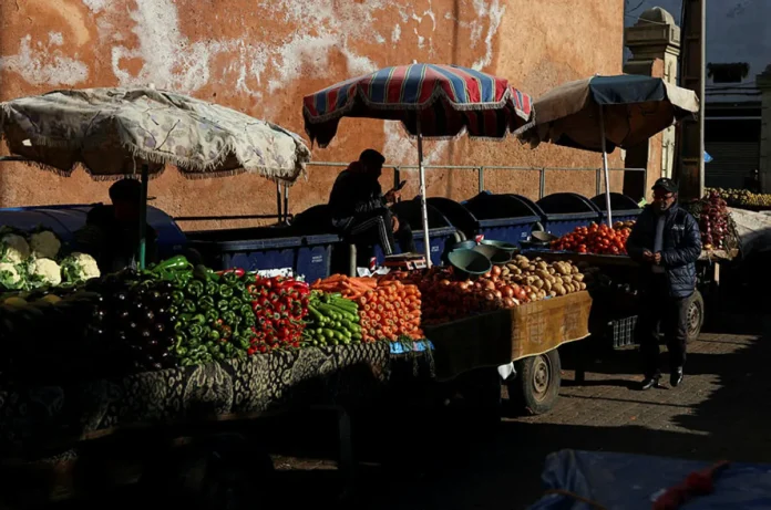 Morocco declares end of seven-year drought after winter rains