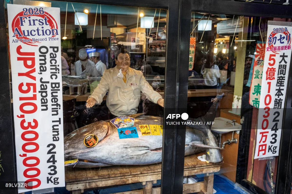 AFP__20260105__89LV3ZR__v1__Mockup__JapanEconomyFoodFishAuctionTuna