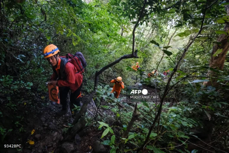 Serpihan pesawat ATR 42-500 ditemukan di Bukit Bulusaraung