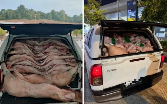 AKPS foils attempt to smuggle 2,000 kg of pig carcasses